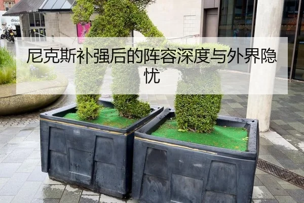 ni-ke-si-bu-qiang-hou-de-zhen-rong-shen-du-yu-wai-jie-yin-you-2-888.jpg